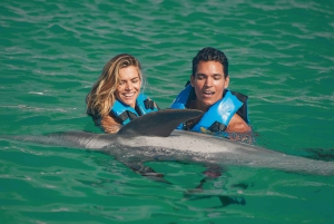 Puerto Aventuras: Dolphin Royal Swim & Kayaking with Buffet