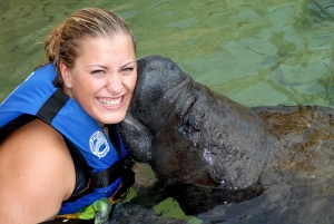 Puerto Aventuras: Manatee Encounter