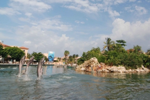 Puerto Aventuras: Encuentro con Manatíes