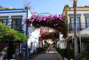 Puerto de Mogan: Friday Market Experience