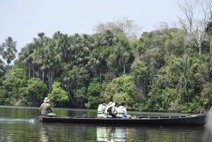 Puerto Maldonado: 4-Day Tambopata Rainforest Tour