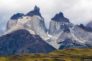 Puerto Natales: Puma Tracking Safari (Photography Tour)