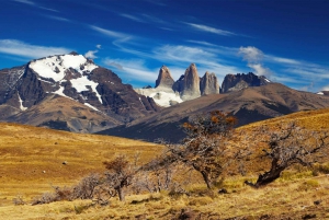 Puerto Natales: Puma Tracking Safari (Photography Tour)