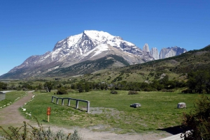 Puerto Natales: Safari de Rastreo de Puma (Tour Fotográfico)