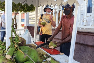 Puerto Plata: Recorrido por lo más destacado de la ciudad con el Monte Isabel y almuerzo