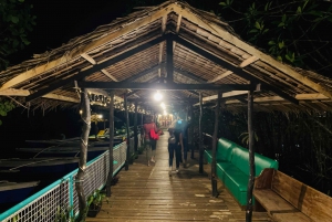 Puerto Princesa: Jungle Firefly Watching Boat Tour & Dinner