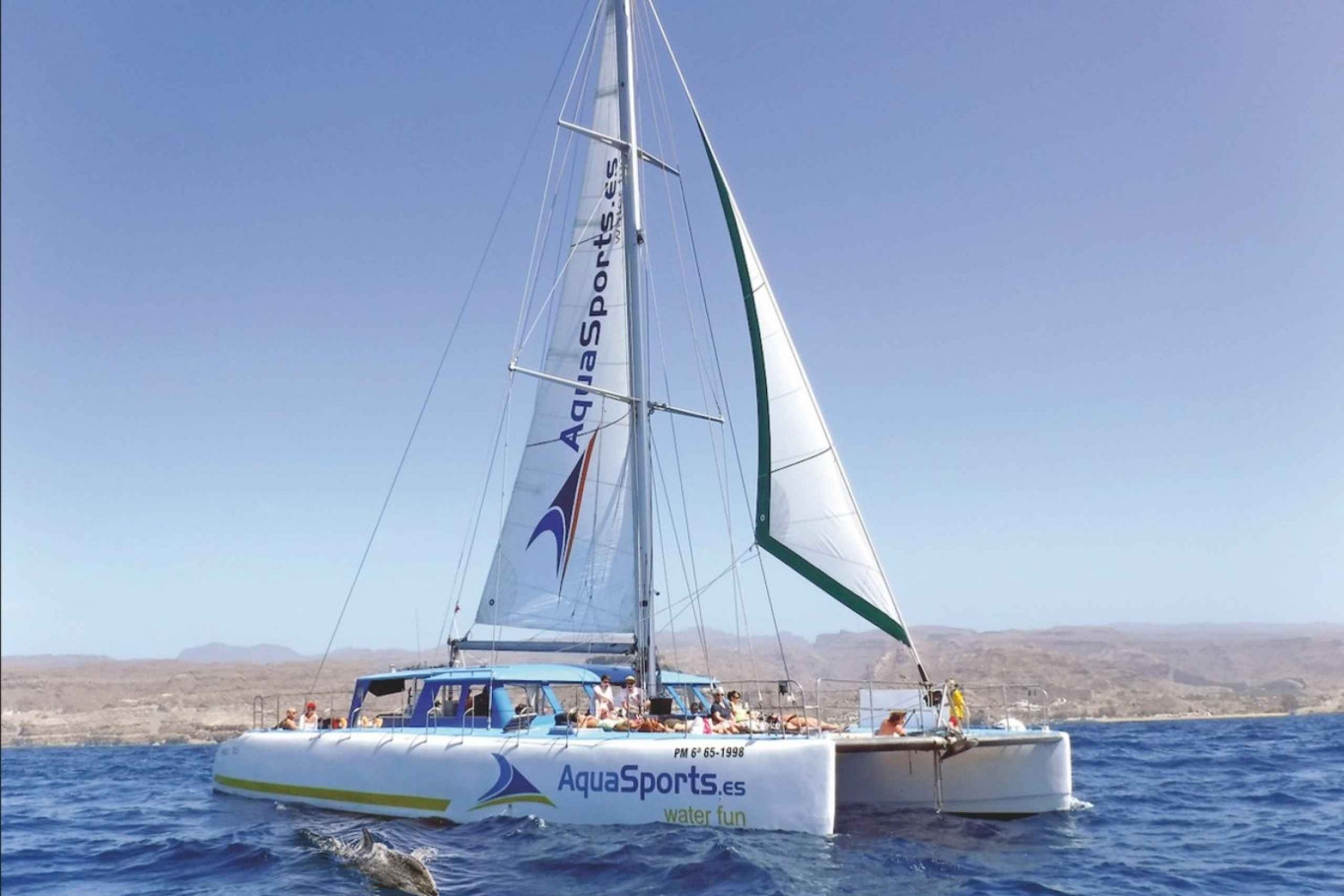 Puerto Rico: 4-Hour Catamaran Excursion in the South