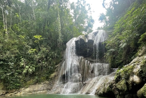 PUERTO RICO: Custom Hiking Tours with Transportation!!