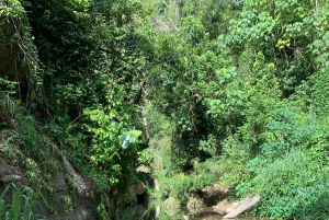 PUERTO RICO: Custom Hiking Tours with Transportation!!