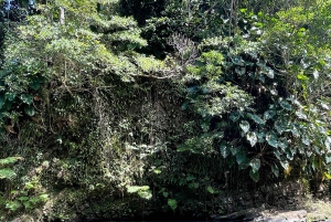 PUERTO RICO: Custom Hiking Tours with Transportation!!