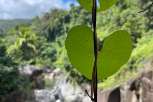 PUERTO RICO: Custom Hiking Tours with Transportation!!