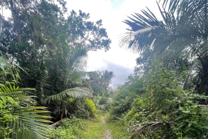 PUERTO RICO: Custom Hiking Tours with Transportation!!