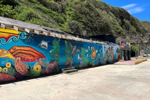 Puerto Rico: Guided West Coast Tour with Hotel Transport