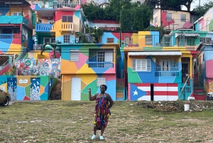 Puerto Rico: Guided West Coast Tour with Hotel Transport
