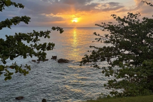 Puerto Rico: Guided West Coast Tour with Hotel Transport