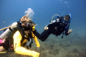 PUERTO RICO: Private Scuba Dive for Beginners!