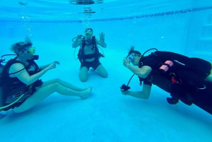 PUERTO RICO: Private Scuba Dive for Beginners!