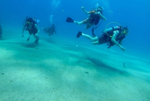 PUERTO RICO: Private Scuba Dive for Beginners!