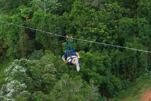Puerto Rico: tirolesa The Beast en Toro Verde Adventure Park