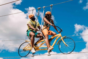 Puerto Rico: Boleto para tirolesa en bicicleta Toro Verde Adventure Park