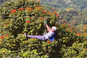 Puerto Rico: Yunque Ziplining at the Rainforest