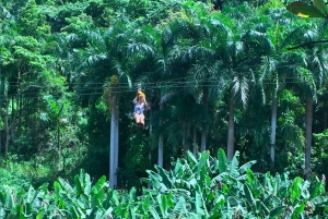 Puerto Rico: Tirolina Yunque en el Bosque Lluvioso