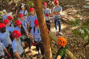 Puerto Rico: Yunque Ziplining at the Rainforest