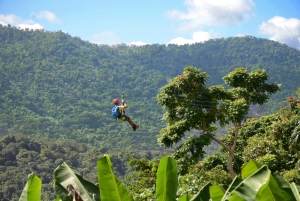 Puerto Rico: Tirolina Yunque en el Bosque Lluvioso