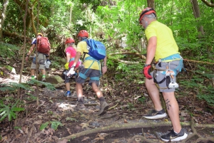 Puerto Rico: Yunque Ziplining at the Rainforest