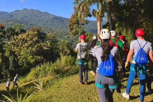 Puerto Rico: Yunque Ziplining at the Rainforest