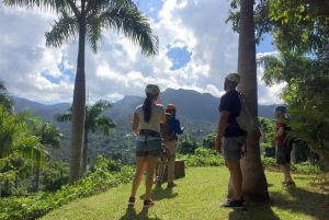 Puerto Rico: Yunque Ziplining at the Rainforest