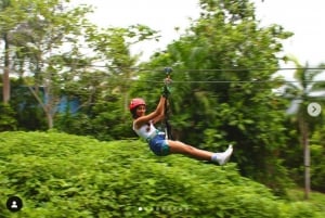 Puerto Rico: Tirolina Yunque en el Bosque Lluvioso