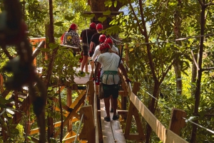 Puerto Rico: Tirolina Yunque en el Bosque Lluvioso