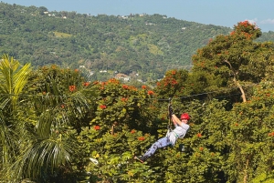 Puerto Rico: Yunque Ziplining at the Rainforest