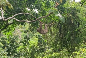 Puerto Viejo: Limpieza energética de chakras en la selva