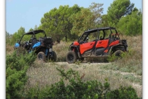 PULA AND ROVINJ: BUGGY FAMILY SAFARI 1, 2 & 4 H