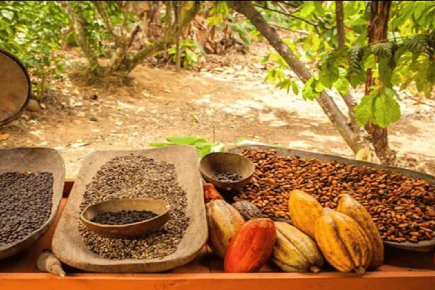 Punta Cana: aventura en buggy, playa Macao y cueva