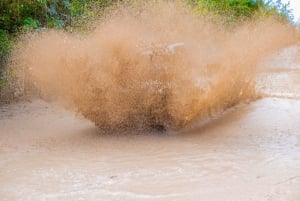 Punta Cana Buggy & ATV Tour: Cave, Macao Beach, Free Pick-Up