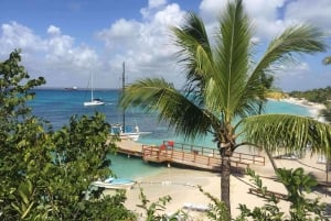 Punta Cana: Catalina Snorkeling & Altos de Chavón Day Trip