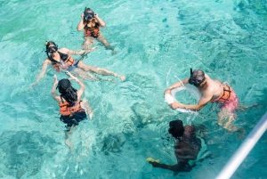 Punta Cana: Catamaran Tour with Reef Snorkeling and Open Bar