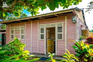 Punta Cana Cultural Tour History and Traditions Small Group