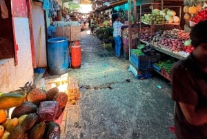 Punta Cana Cultural Tour History and Traditions Small Group