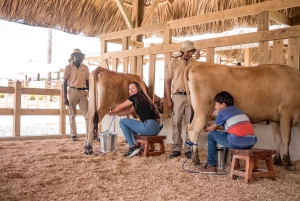 Punta Cana: Eco Park Safari Adventure