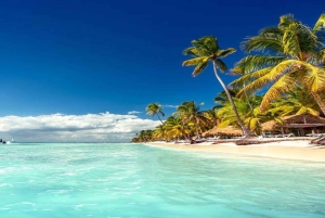 Punta Cana Excursions & Tours - Punta Cana Adventures