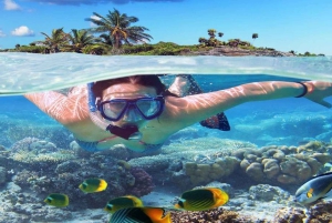 Punta Cana Excursions & Tours - Punta Cana Adventures