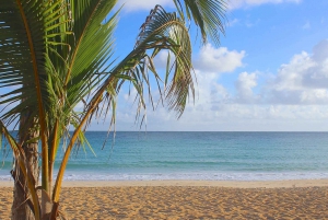 Punta Cana: Half Day Safari and Cultural Experience