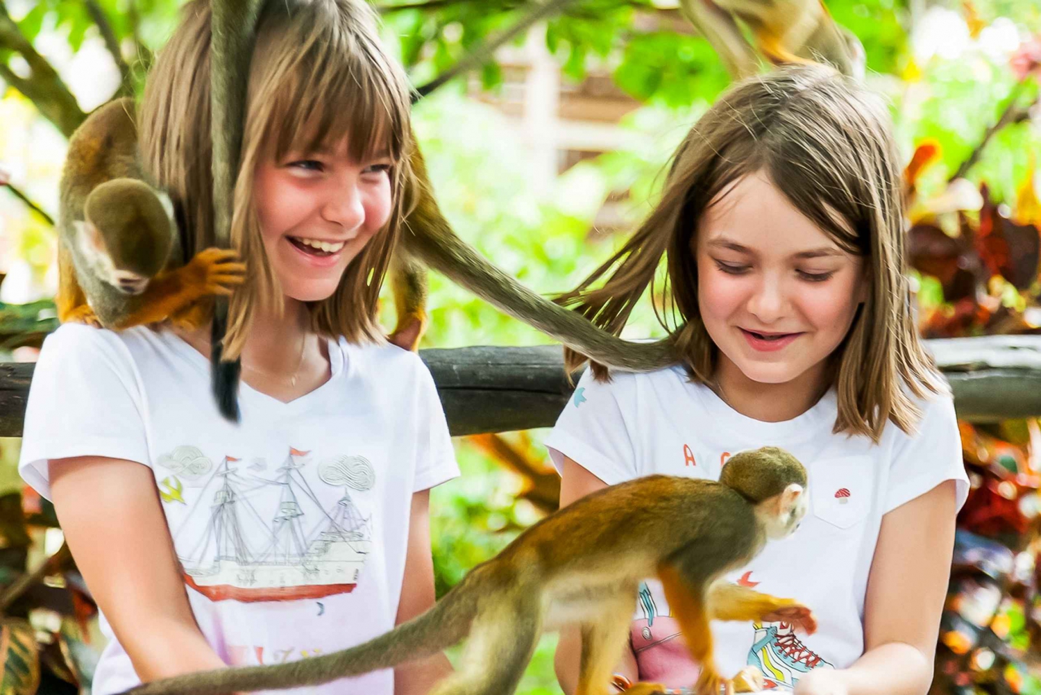 Punta Cana: Monkey Land Half-Day Safari and Plantation
