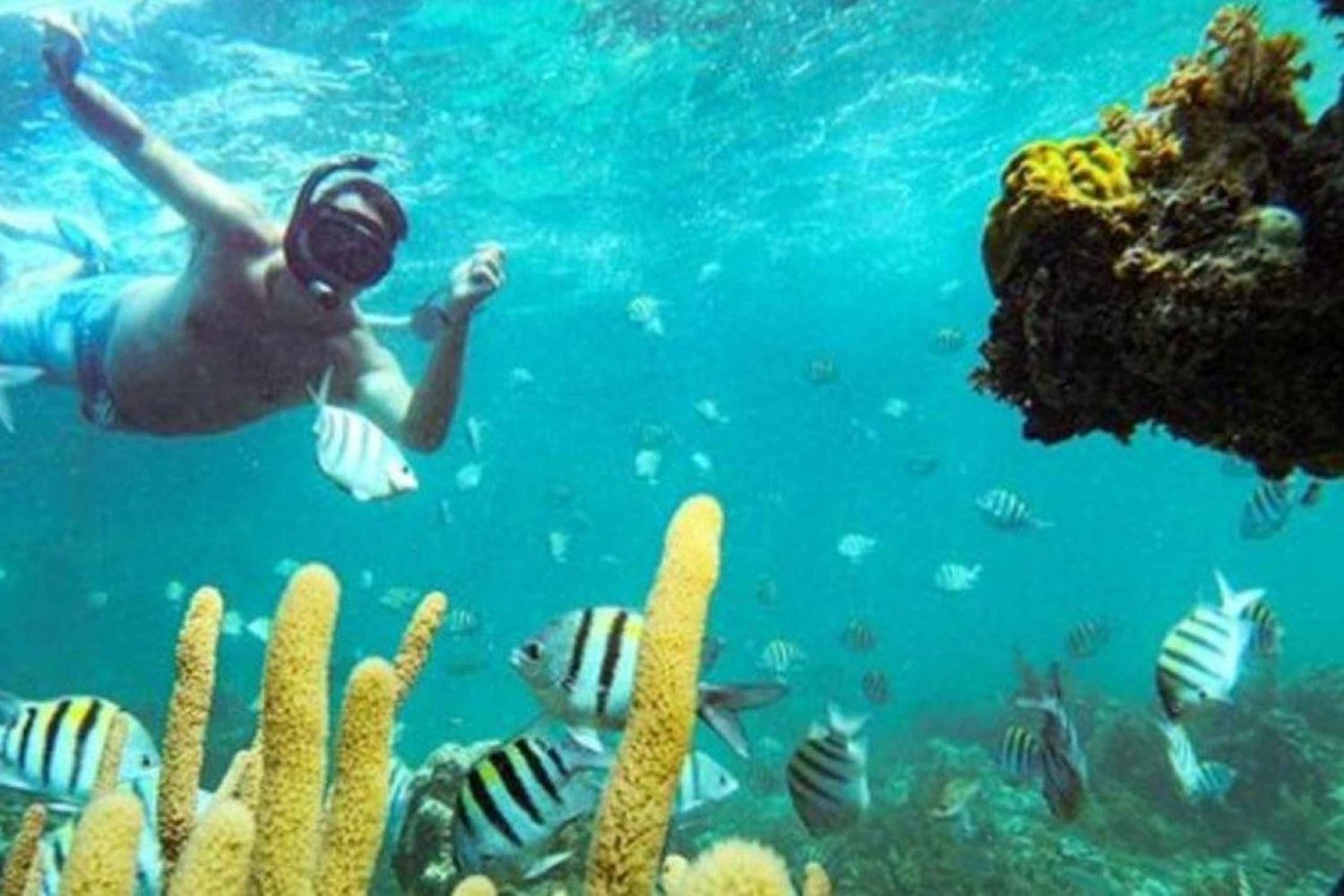 Punta Cana: Fiesta en barco y aventura de snorkel
