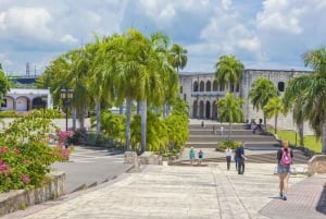 Punta Cana: Santo Domingo Private Day Trip with Lunch