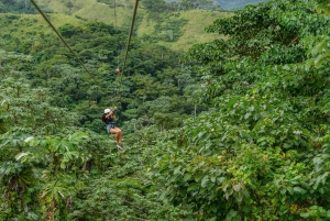 Punta Cana: Aventura en tirolina, telesilla, buggy y caballo